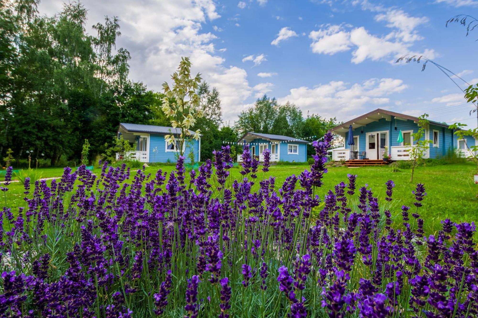 Domek Caloroczny Na Wylacznosc Niebieska Osada Nad Gorskim Potokiem Stary Waliszow Exterior foto